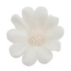 Stokrotka biała - Kwiatki cukrowe 5 x 6 op. 