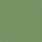 Wilton - Moss Green Barwnik spożywczy Zieleń Mchu