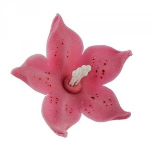 Lilijka wrzosowa - kwiaty cukrowe - 20 szt.