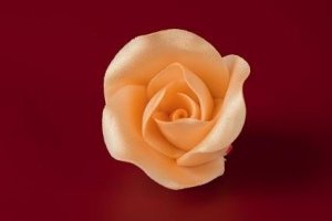 Róża Mini Max 20 szt. złota