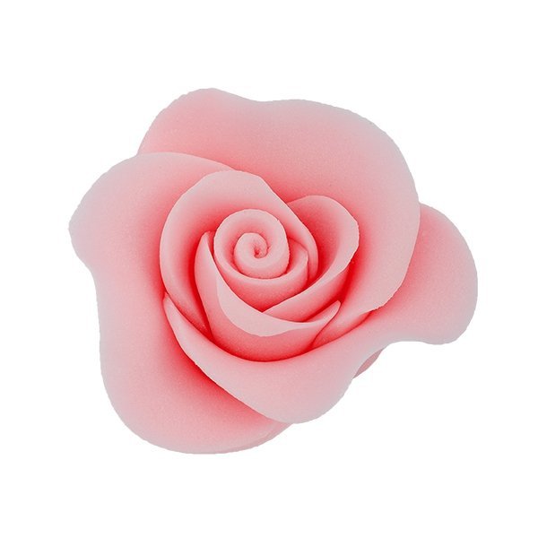 Róża Mini Max 20 szt. różowa