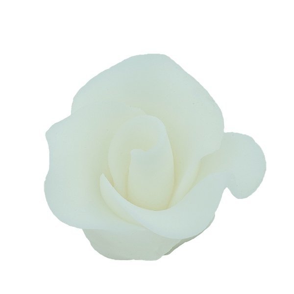 Róża mała 22 szt. biała