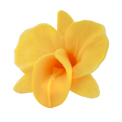 Kwiaty cukrowe - Storczyk opak. 10 szt. żółty