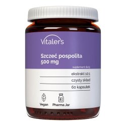 Szczeć pospolita 500 mg, Vitalers, 60 kapsułek