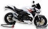 Pług owiewka spoiler silnika ERMAX BELLY PAN Honda CB600 HORNET 2007 - 2010