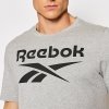 Reebok t-shirt męski szary bawełna Big Logo Tee HD4219