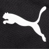 Puma spodnie dresowe czarne męskie 655770 03