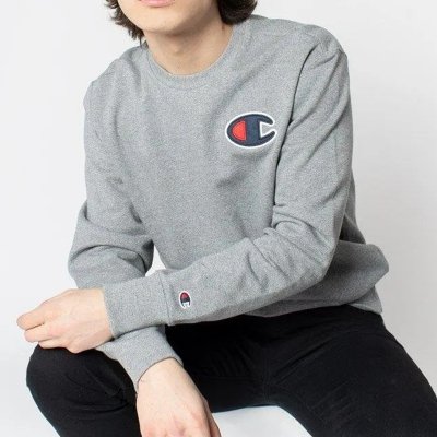 Champion bluza męska szara 214189-S20-EM006