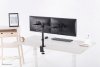 Neomounts FPMA-D550DBLACK uchwyt / stojak do monitorów 81,3 cm (32) Czarny Biurko