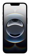 Telefon komórkowy Apple iPhone 16E/256GB czarny MD1T4