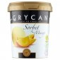 9227 Lody GRYCAN Sorbet z mango 500 ml 1x6 
