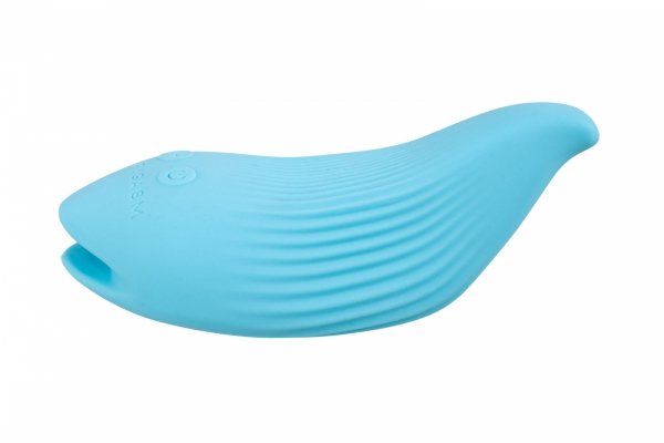 DelightfulWave blue