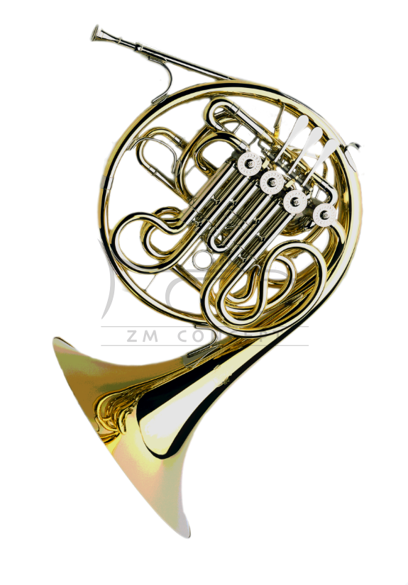 PAXMAN waltornia podwójna F/B model 20 LGDM f fh L, full double horn, menzura L, Gold brass, rozkręcana czara, popychacze ze sprzęgłem kulkowym, flipper, regulowany hak na 5ty palec, lakierowana, bez futerału