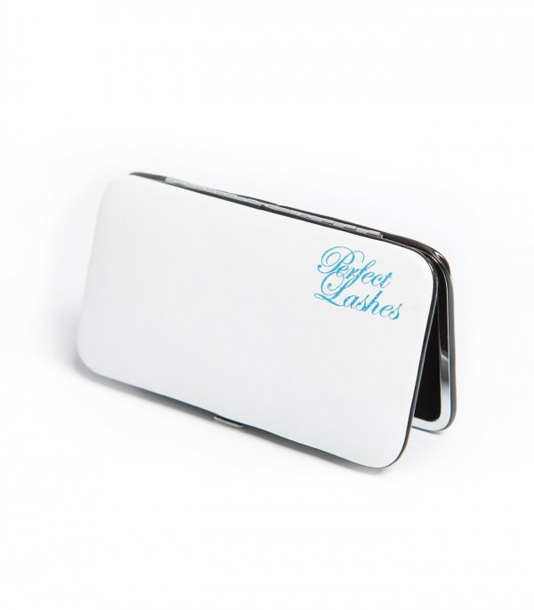 Magnetic case for tweezers