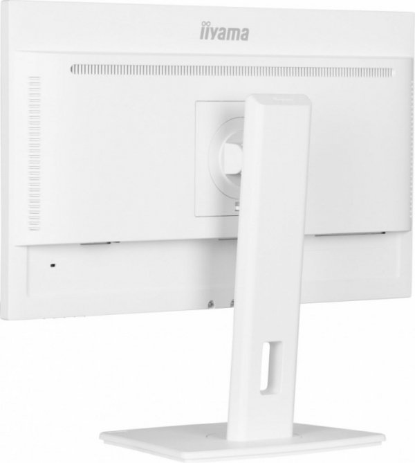 IIYAMA Monitor 24 cale XUB2497HSN-W2 IPS, USB-C Dock, HDMI, DP, 300cd, Pivot, HAS, biały /5y/