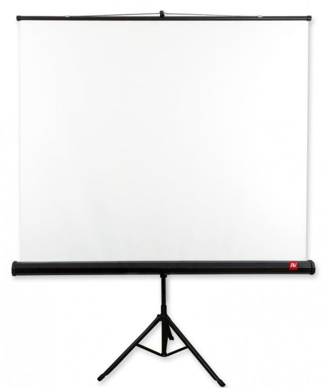 AVTek Ekran na statywie Tripod Standard 175 (1:1, 175x175cm, powierzchnia biała, matowa)