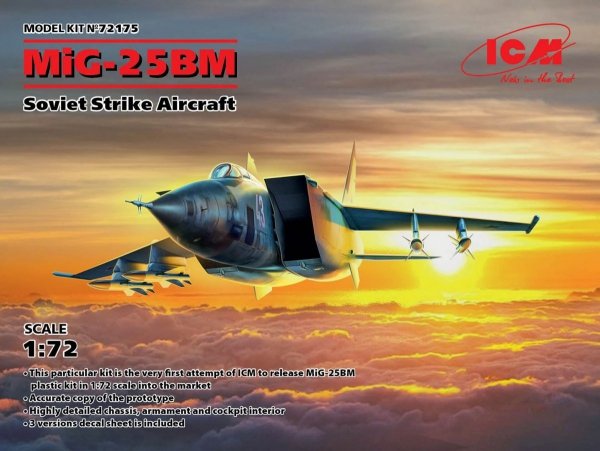 ICM 72175 MiG 25 BM Soviet Strike Aircraft