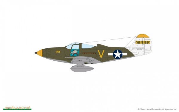 Eduard 8067 P-39N Airacobra Profipack Edition 1/48