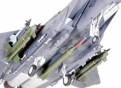 Tamiya 60312 F-15E w/Bunker Buster 1/32