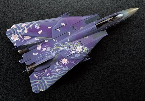 Hasegawa SP291-51991 1/72 F-14D Tomcat Ace Combat