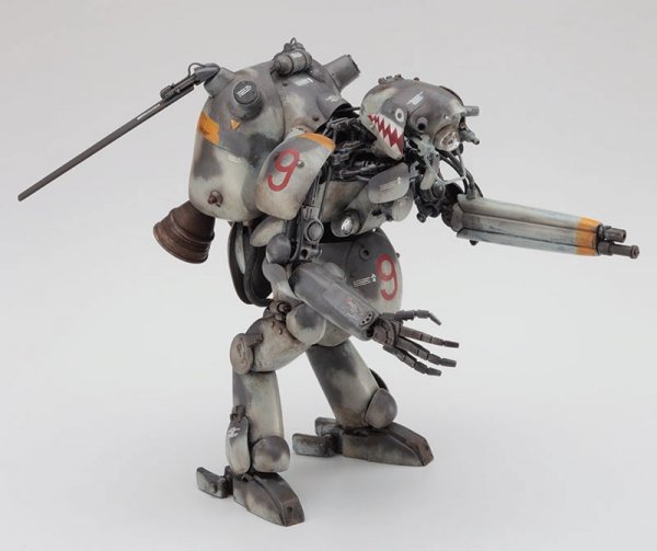 Hasegawa 64109 Vega/Altair 1/20