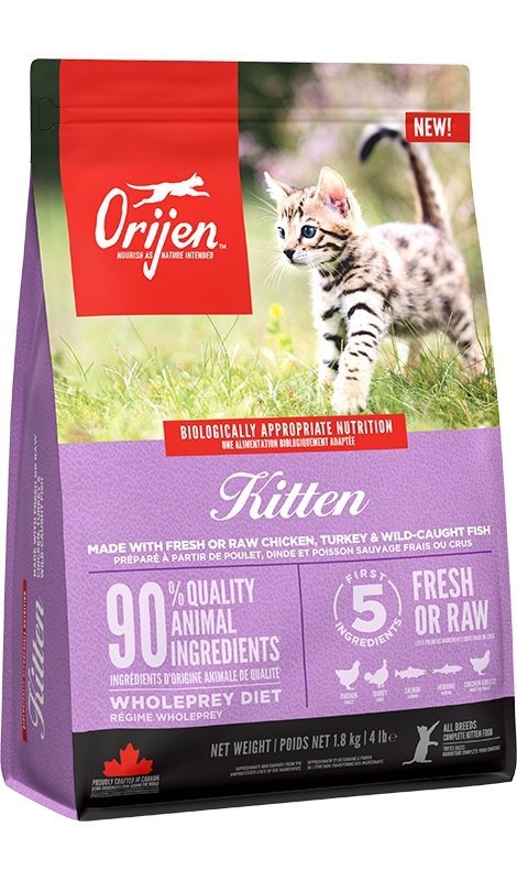 Orijen Kitten 1,8kg z Kurczakiem Sucha karma dla kociąt