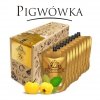 Bezalkoholowy koncentrat do przygotowywania napojów alkoholowych PIGWA box 9 x 300ml