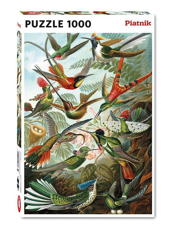 Puzzle 1000 Haeckel Kolibry