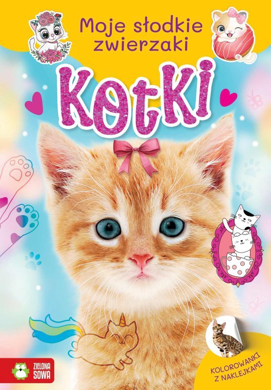 Kotki. Moje słodkie zwierzaki
