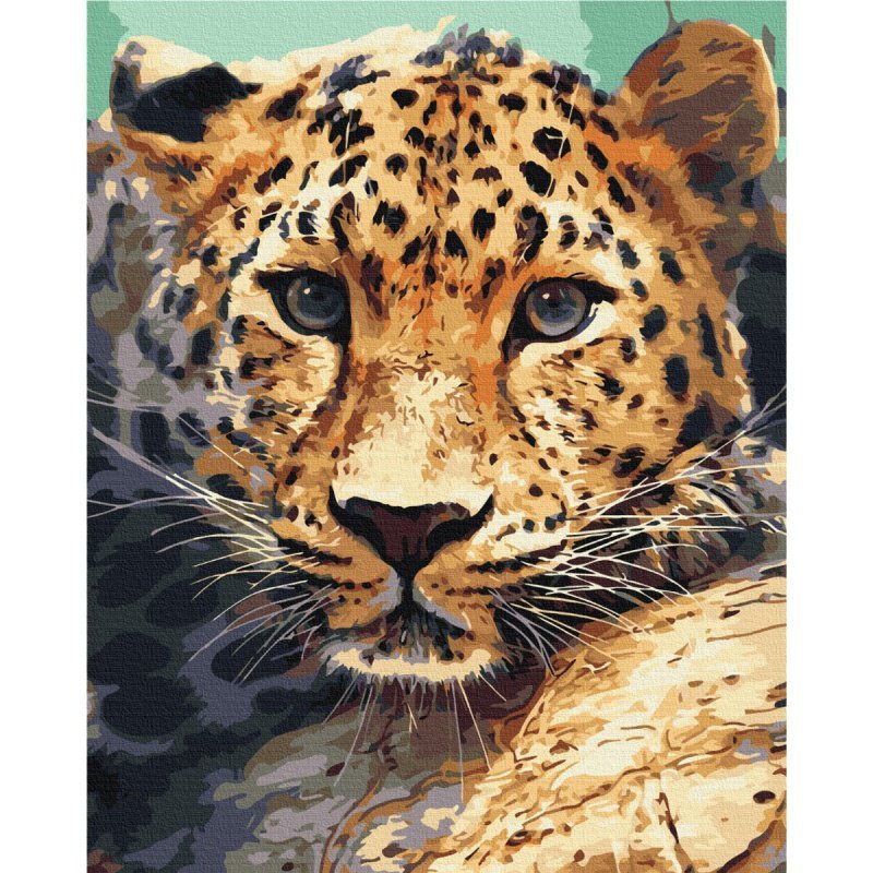 Malowanie po numerach BRUSHME 40x50 cm portret lamparta
