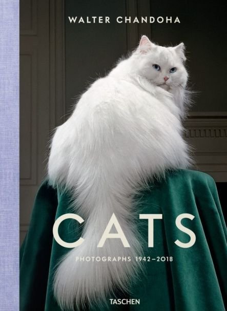 Walter Chandoha. Cats. Photographs 1942–2018 wer. angielska