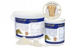 Equipur calcin wapń