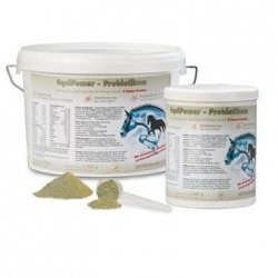 Probiotyk Equi power 