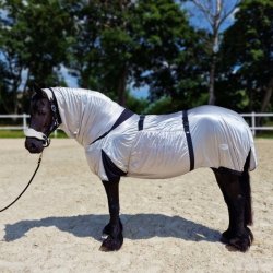 Derka siateczkowa Eczema