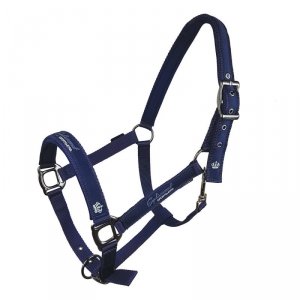 Kantar Cassia, kolor granatowy