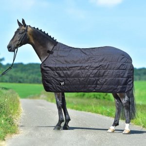 Podpinka derki Thermal 100g