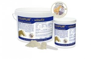 Witamina C Equipur Vitafit