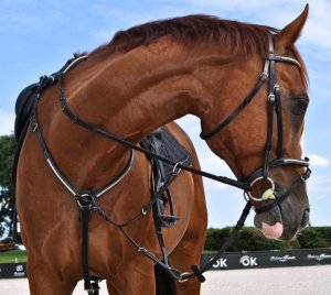 Napierśnik Clincher 3 punktowy z wytoczkiem