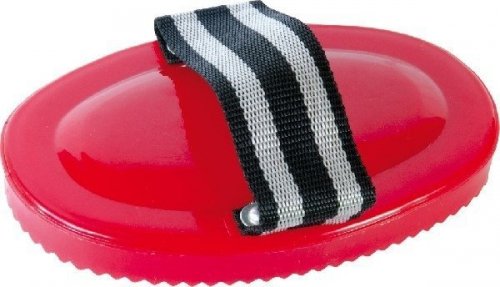 Zgrzebło ząbkowane czerwone