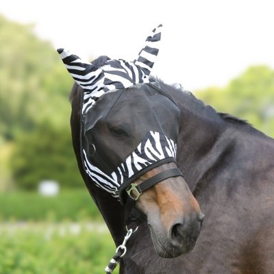 Maska przeciw owadom Zebra