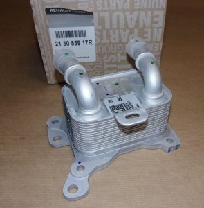 213055917R Neu Autoteile AF