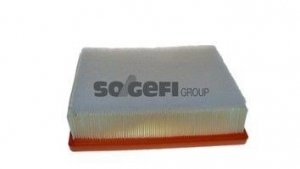 Neu Luftfilter PURFLUX A1789