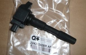 Original 224332428R AF