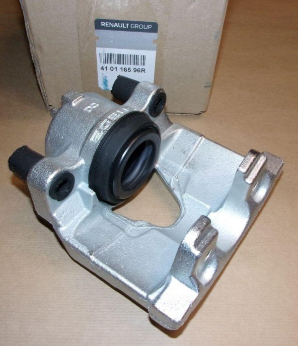 410116596R Neu Autoteile AF