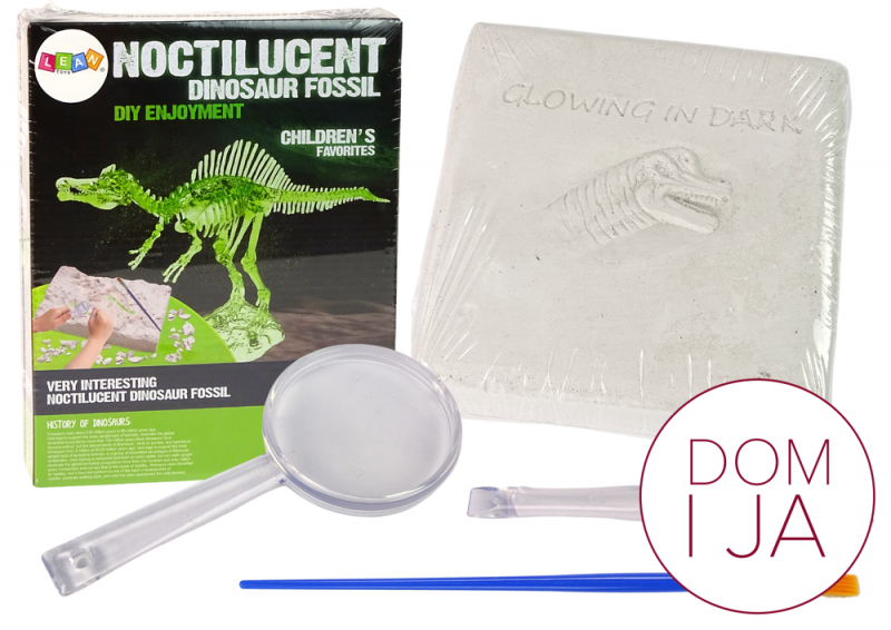 Zestaw Archeologiczny Wykopaliska Dinozaur Szkielet 3D Hologram