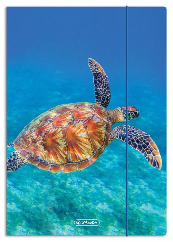 Teczka szkolna z gumką A4 ANIMALS 300023013 HERLITZ