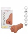 Boundless Vulva