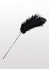 Feather Tickler