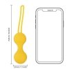 Kegel Ball Exercise Set - Lemonade Yellow