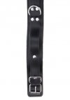 Czarna obroża z ekoskóry Taboom Heavy D-Ring Collar Black